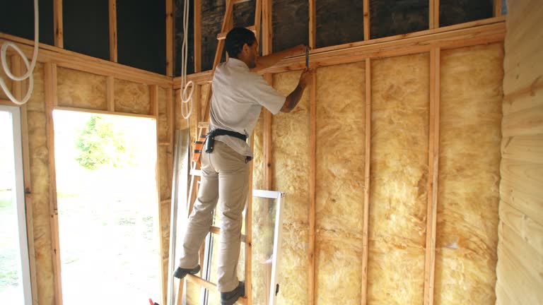 Best Spray Foam Insulation  in Mount Holly, NC